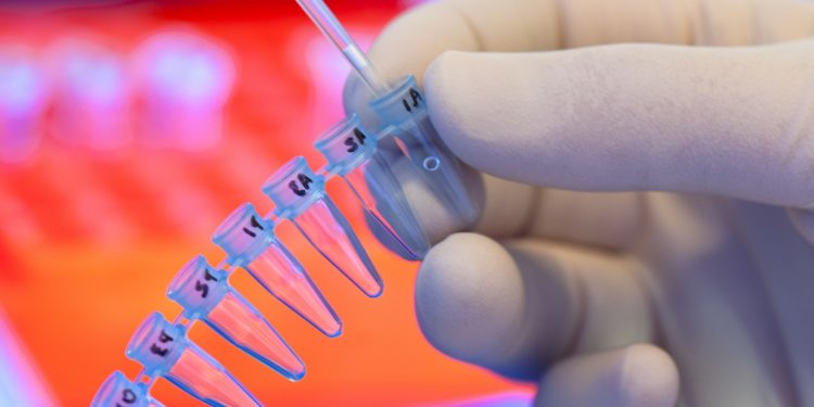 В Приднестровье создадут базу данных ДНК