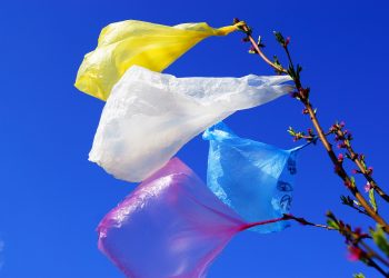 В Молдове действует полный запрет на продажу пластиковых пакетов и пластиковой посуды