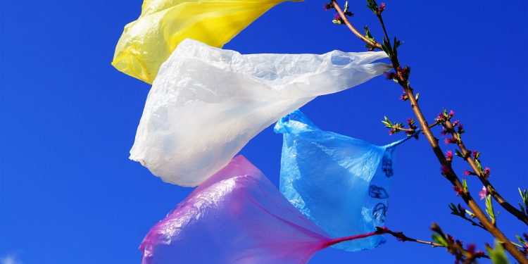 В Молдове действует полный запрет на продажу пластиковых пакетов и пластиковой посуды