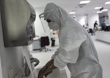 ВОЗ заявила о возможности пандемии из-за вируса Nipah