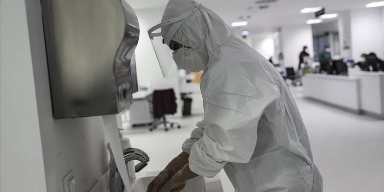 ВОЗ заявила о возможности пандемии из-за вируса Nipah