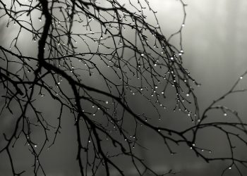 Синоптики рассказали, какая погода ждет жителей Молдовы в понедельник