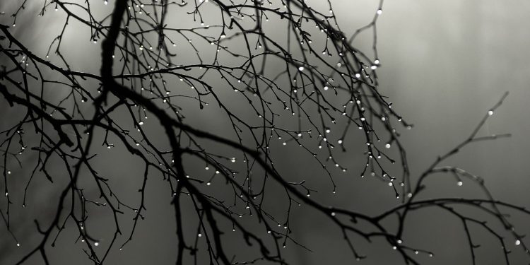 Синоптики рассказали, какая погода ждет жителей Молдовы в понедельник