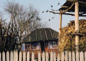 Rata sărăciei absolute în 2019 a constituit 25,2%