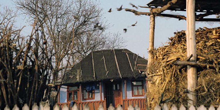 Rata sărăciei absolute în 2019 a constituit 25,2%