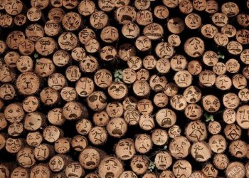 Violeta Ivanov trage un semnal de alarmă asupra defrișărilor abuzive: Moldova se poate transforma dintr-un plai înfloritor într-un teritoriu degradat