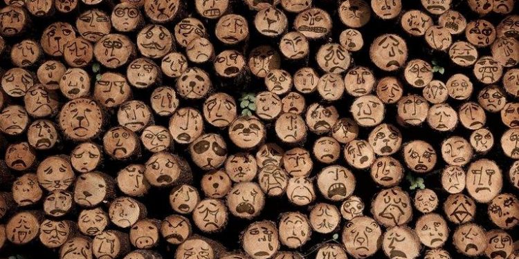 Violeta Ivanov trage un semnal de alarmă asupra defrișărilor abuzive: Moldova se poate transforma dintr-un plai înfloritor într-un teritoriu degradat