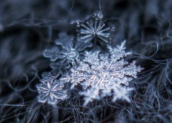 După ce a plecat gerul, vin lapovița și ninsorile. Prognozele meteorologilor pentru această săptămână