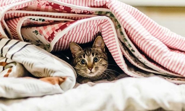 Meteorologii au anunțat Cod Galben de răcire bruscă a vremii