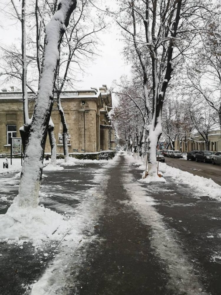 Mobilizare exemplară a echipelor Partidului ȘOR din întreaga țară în depășirea situației dificile cauzate de ninsorile abundente | FOTO, VIDEO