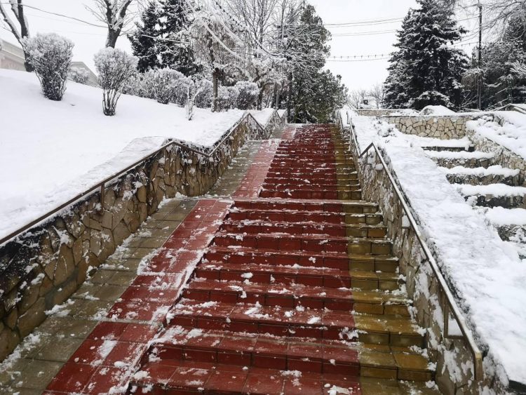 Mobilizare exemplară a echipelor Partidului ȘOR din întreaga țară în depășirea situației dificile cauzate de ninsorile abundente | FOTO, VIDEO