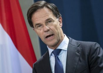Guvernul Olandei demisionează după scandalul alocațiilor