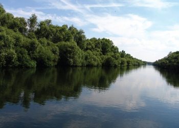 Va fi construit un pod pentru a face mai ușor legătura dintre Chișinău și Kiev. Ce au mai discutat Vladimir Zelenski și Maia Sandu