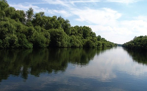 Va fi construit un pod pentru a face mai ușor legătura dintre Chișinău și Kiev. Ce au mai discutat Vladimir Zelenski și Maia Sandu