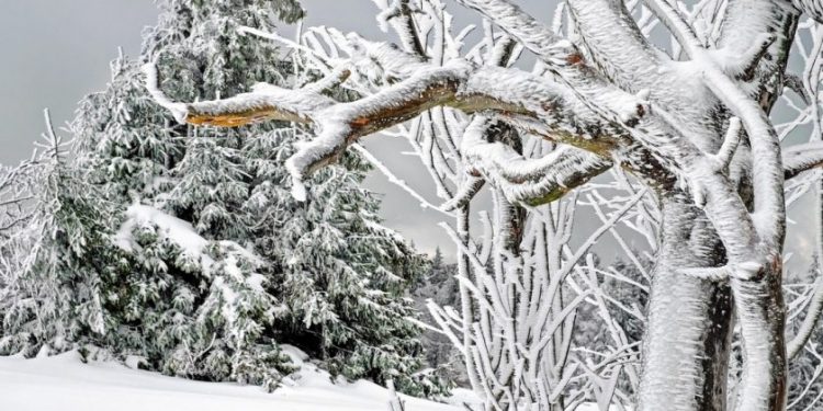 Ninsorile continuă și astăzi în raioanele țării. În următoarele zile vremea se va încălzi | VIDEO