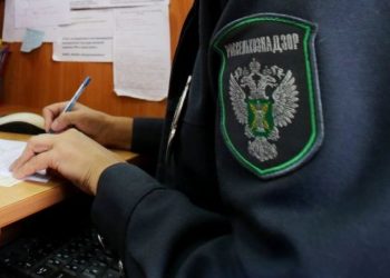 Rosselhoznadzor a blocat un nou lot de fructe moldoveneşti care urmau să ajungă în Rusia | VIDEO