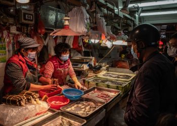 China nu a autorizat accesul echipei de cercetare OMS, care urma să identifice originea virusului COVID-19