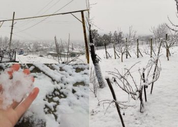 Lapoviță și ninsoare în Moldova. Când și unde ar putea să ningă, conform prognozelor meteorologilor | FOTO