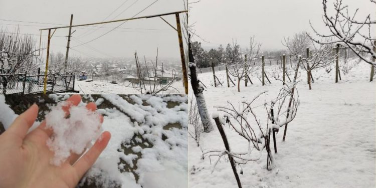 Lapoviță și ninsoare în Moldova. Când și unde ar putea să ningă, conform prognozelor meteorologilor | FOTO