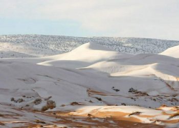 Сахару засыпало снегом