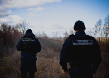 Schemă de contrabandă în valoare de milioane de lei, anihilată