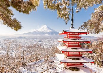 В Японии в результате снегопада пострадали 76 человек