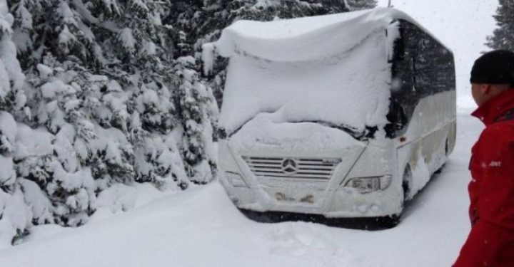 Cele două autocare, blocate pe traseul Cuciurgan – Odesa, și-au continuat drumul