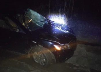 O femeie, lovită mortal de o mașină. Șoferul, un ofițer de patrulare, a părăsit locul accidentului