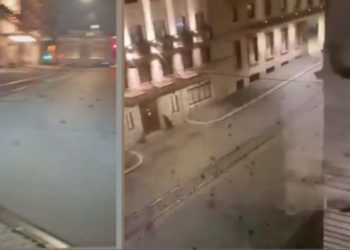 Mii de păsări au murit sau nu au mai putut zbura din cauza artificiilor din Roma. Imaginile îngrozitoare au făcut turul lumii