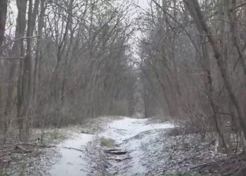 Învelită într-un scutec și lăsată să moară în frig. Poliția a inițiat un proces penal, iar mama fetiței abandonate riscă închisoare | VIDEO