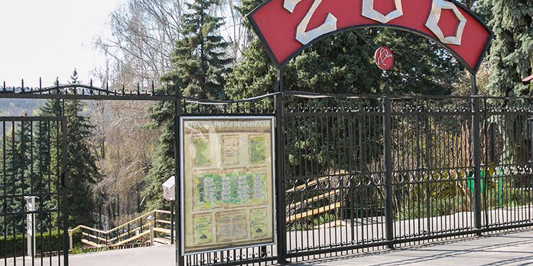 Un angajat al Grădinii Zoologice din Chișinău a fost atacat de un tigru