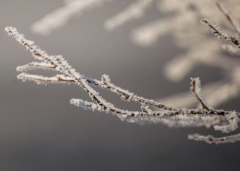 Метеорологи: В Молдове днем ожидается до -7°С, а ночью температура опустится до -20°С