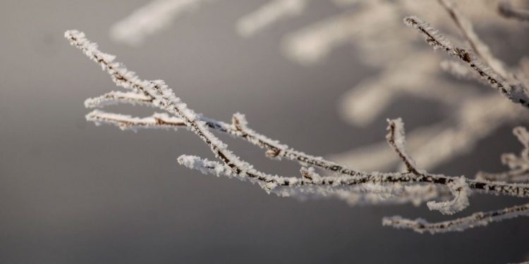Метеорологи: В Молдове днем ожидается до -7°С, а ночью температура опустится до -20°С