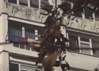 Тело умершей женщины пролежало на балконе два дня. Сын обвиняет чиновников | VIDEO