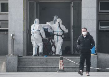 В ходе расследования причин возникновения коронавирусной инфекции эксперты ВОЗ обнаружили «важные улики»