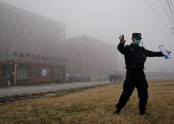 В ВОЗ сочли крайне маловероятным лабораторное происхождение COVID-19