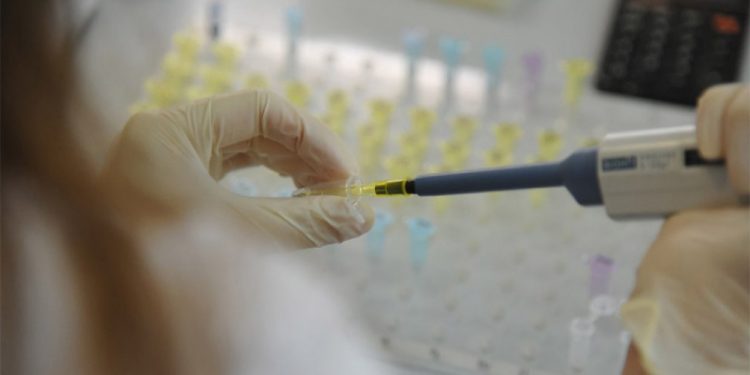 Роспотребнадзор разработал высокоточный экспресс-тест на коронавирус