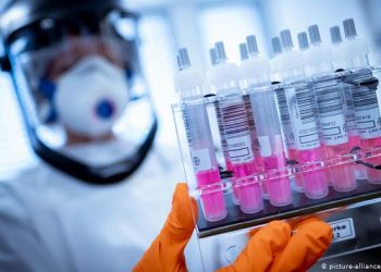 В Таиланде у летучих мышей выявили новый коронавирус