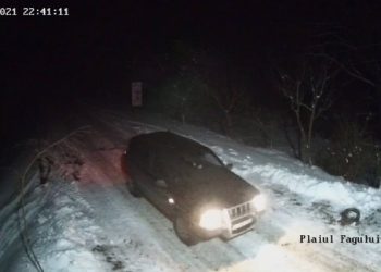 Одним из браконьеров, который охотился в заповеднике Plaiul Fagului оказался полицейский