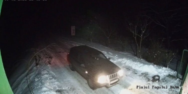 Одним из браконьеров, который охотился в заповеднике Plaiul Fagului оказался полицейский
