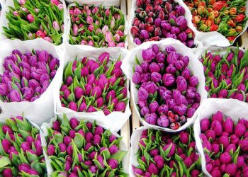 Налоговая внепланово проверит деятельность торговцев цветами