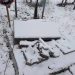 20 de morminte din cimitirul din Cărpineni au fost vandalizate