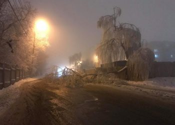 În Chișinău au căzut mai mulți arbori și crengi din cauza chiciurii