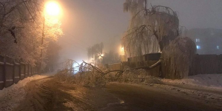 În Chișinău au căzut mai mulți arbori și crengi din cauza chiciurii