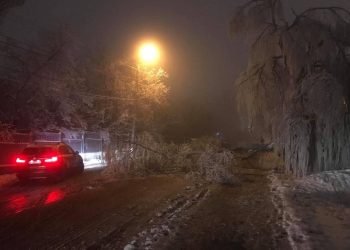 Consecințele Codului Galben: Copaci prăbușiți, fire electrice căzute și perturbări ale circulației | VIDEO