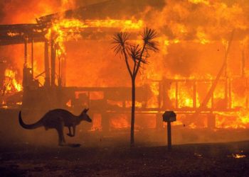 Incendiile de vegetație din vestul Australiei au anulat carantina | VIDEO