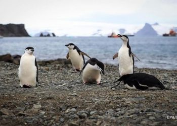 Ученые: Локдаун привел к глобальному потеплению на Земле
