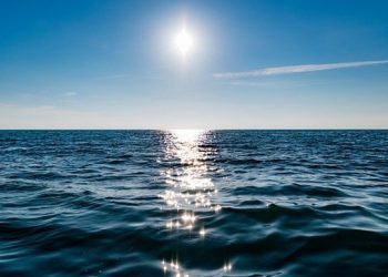 Мужчина выжил в открытом океане благодаря мусору