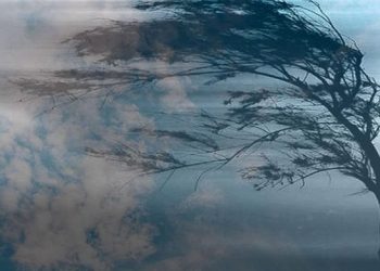 Meteorologii au anunțat Cod Galben de intensificare a vântului