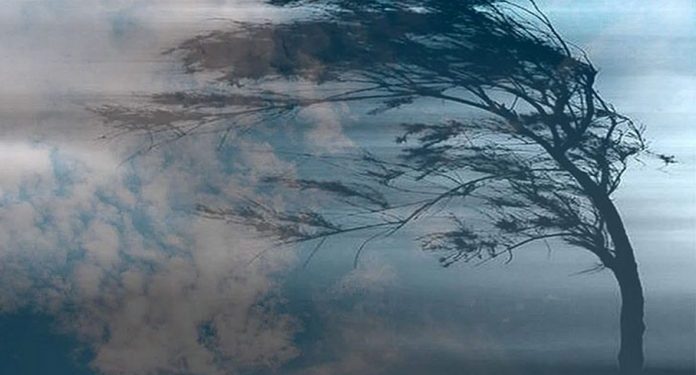 Meteorologii au anunțat Cod Galben de intensificare a vântului